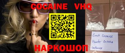 гашик Кингисепп