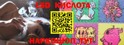 гашик Кингисепп