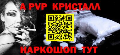 гашик Кингисепп