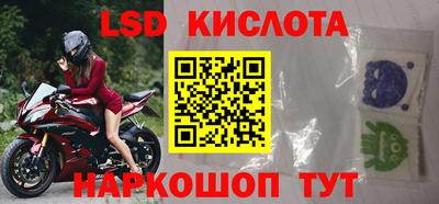 гашик Кингисепп