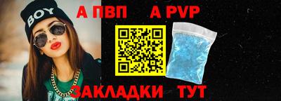 гашик Кингисепп