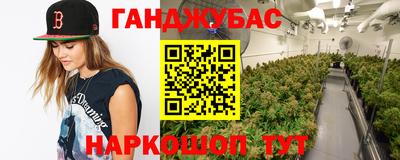 гашик Кингисепп