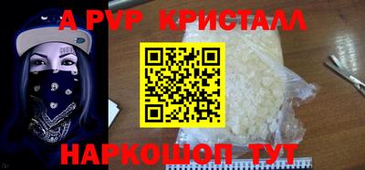 гашик Кингисепп