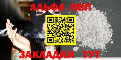гашик Кингисепп