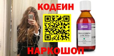гашик Кингисепп