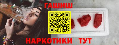 гашик Кингисепп