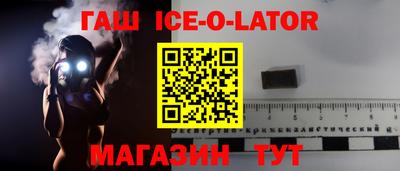 гашик Кингисепп