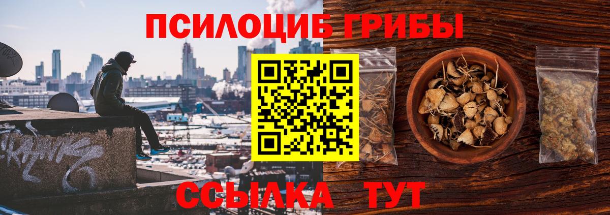 Псилоцибиновые грибы Psilocybine cubensis Кузнецк