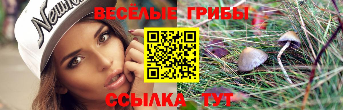 Псилоцибиновые грибы мицелий  Вход с VPN  Кузнецк 
